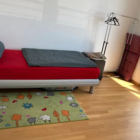 Penthouse Ueber Den Daechern Von Regensburg